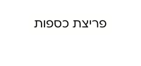 פריצת כספות